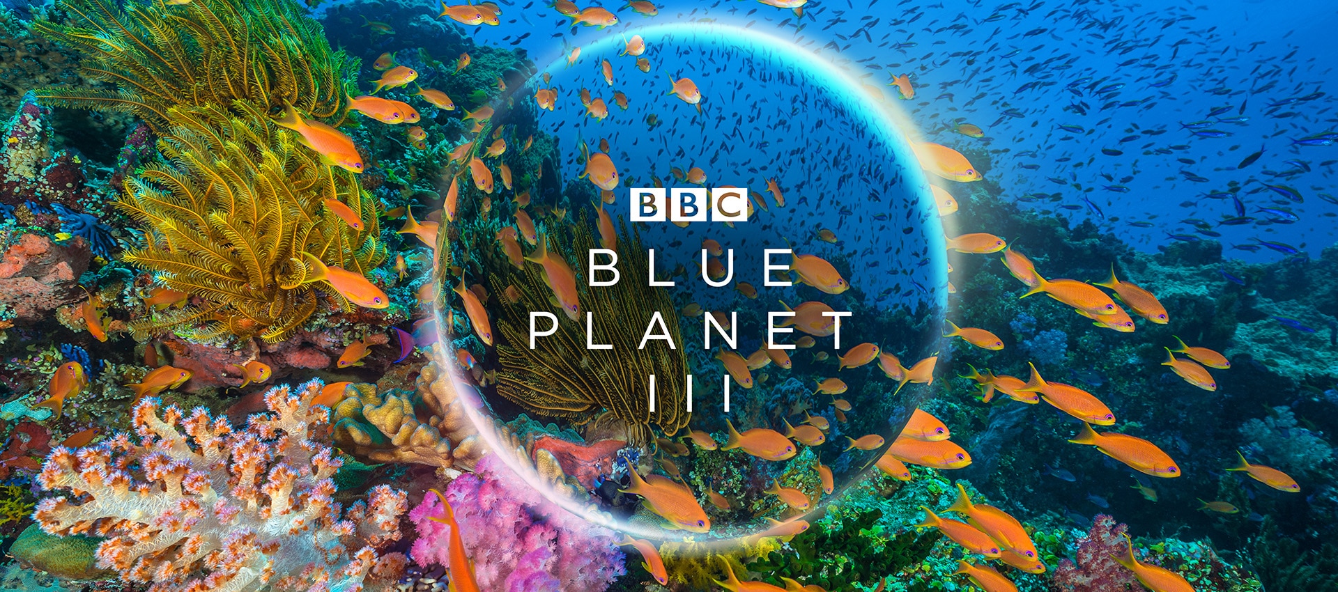 Could you be a part of Blue III BBC Earth